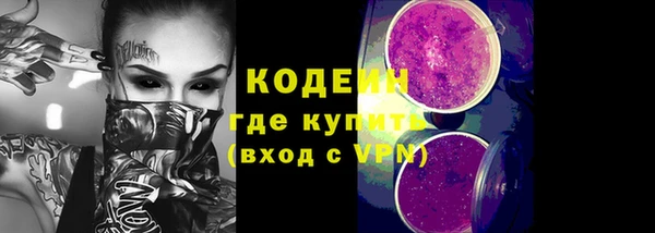 мдпв Горнозаводск