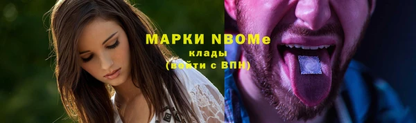 мдпв Горнозаводск