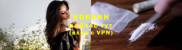 мдпв Горнозаводск