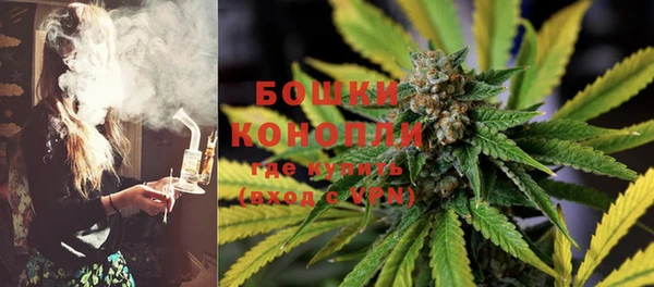 мдпв Горнозаводск