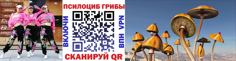 дарнет шоп Дмитровск Псилоцибиновые грибы Psilocybine cubensis