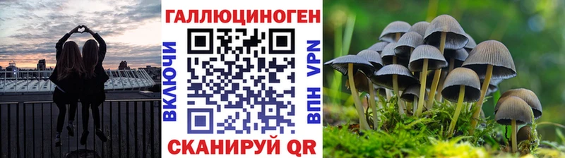 Псилоцибиновые грибы прущие грибы Дмитровск